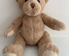 Fluffy brown teddie