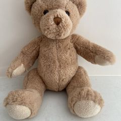 Fluffy brown teddie