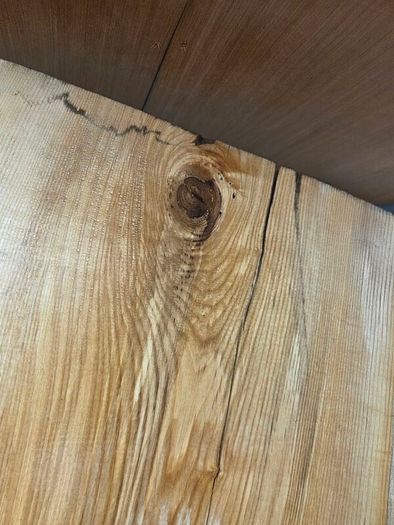 Live Edge Ash Slab