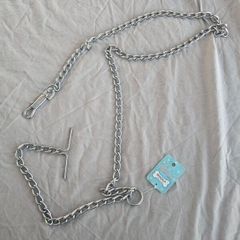 New chain dog lead