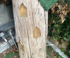 Fairy house perfect for little girl, made from tree trunk & carved out windows & swing, just needs some maintenance