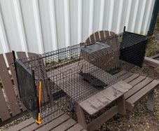 Cat Trap
