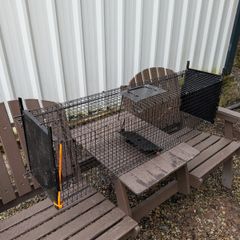 Cat Trap