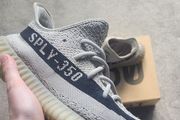yeezy 350
