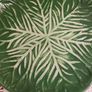 Plates Green Cabbage Image 3