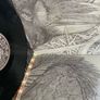 Earth - A Bureaucratic Desire For Extra-Capsular Extraction Image 4