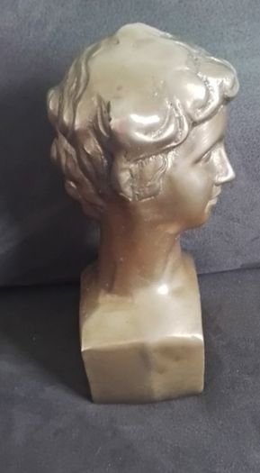 Bust Of David - Patinated Bronze