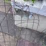 Collection of wire plant trays etc Image 3