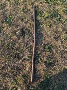 vintage pry bar