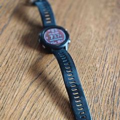 Garmin Forerunner 245 Music