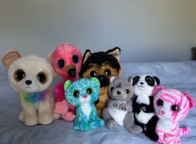 TY Teddies
