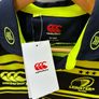 New Leinster Jersey Image 2