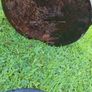 Antique Cast Iron Pot Image 3