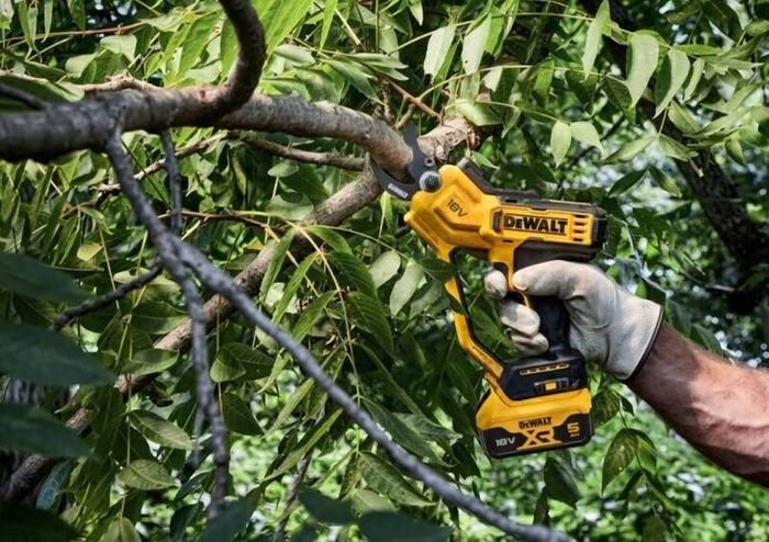 DeWaLT 18V XR Cordless Battery Powered Pruner + Next Gen 18V XR PowerStack Battery + 12V - 18V Multi Voltage Fast Charger. The Best A Professional Can Get. Closing down sale - all must go!