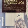 The Mynabirds - What We Lose In The Fire We Gain In The Flood Image 2