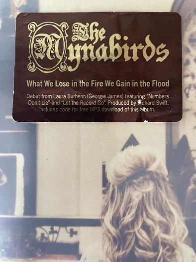 The Mynabirds - What We Lose In The Fire We Gain In The Flood