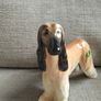 Beswick Afghan Hound Hajubah of Davlen Image 3
