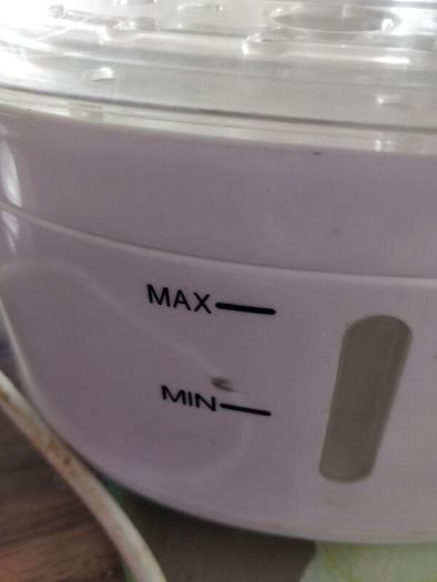 Electric steamer