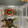 Swatch - Kirobot Image 2