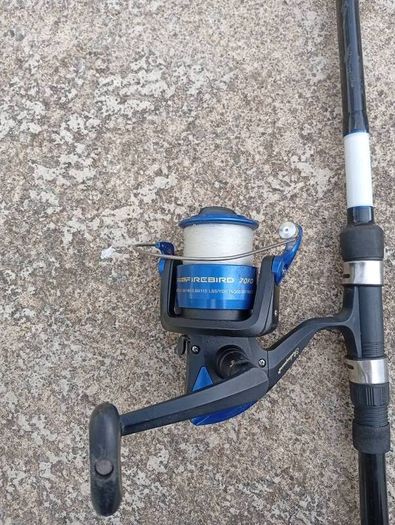 Fishing rod with reel