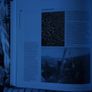 Roofing - Practical Building Conservation (2013 Hardcover) Image 5