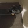 e scooter Image 2