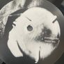 Sigur Ros - Kveikur Image 5