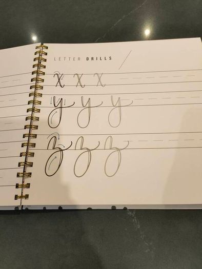 Calligraphy book