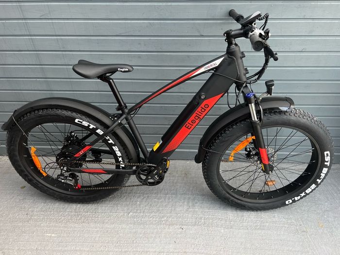 Brand New Electric Fat Bike 750w Motor 2023 model