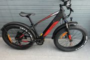 Brand New Electric Fat Bike 750w Motor 2023 model