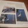 An Essential Guide to Bird Photography (Paperback) Image 7