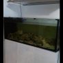 480L fish tank. Image 2