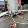 Sheep shower Image 6