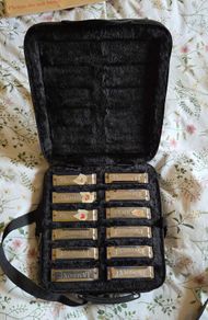 Jambone Harmonica set