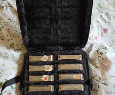 Jambone Harmonica set