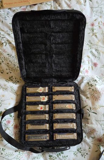 Jambone Harmonica set
