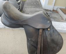 Saddle