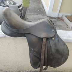 Saddle