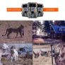 Wildlife Camera, 24MP 1296P Trail Cameras with 120 Degree Wide Angle Motion Sensor, IP66 Waterproof Animal Camera with Night Vision Motion Activated for Garden Wildlife Observation (FREE POSTAGE) Image 3