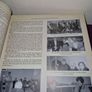 Acorn to Oak Presentation Convent and Schools Kildare Town 1830-2010 book Image 3