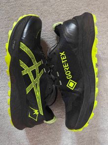 Asics Gel-Trabuco 12 GTX