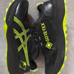 Asics Gel-Trabuco 12 GTX
