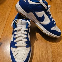 Kids Nike Dunks size 3.5