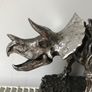 dinosaur skeleton Image 3