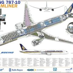 Boeing 787-10 Dreamliner Poster