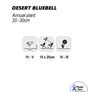 (B) Desert Bluebell seeds 0,5g Image 2