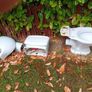 Armitage Shanks - Toilet and sink sets x 2 Image 4