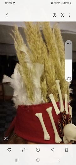 Halloween/fancy dress costume