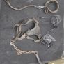dog leads harness and muzzles blanket Image 2