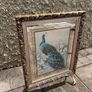 vintage peacock Fireguard Image 4
